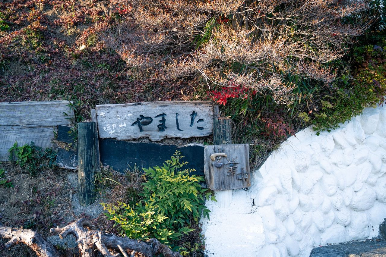 サムネイル画像