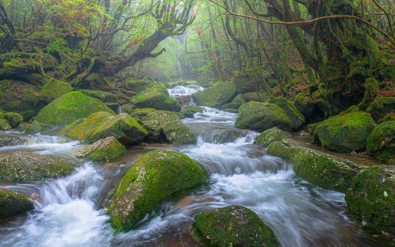 ドリンクバーなどの無料サービス